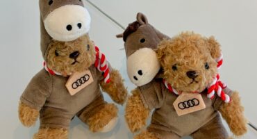 新作マイスターベア🐻ご紹介