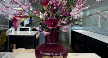 🌸ショールームのお花紹介🌸