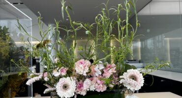 🍃ショールームのお花紹介🍃