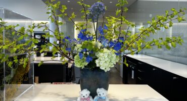 🌼今週のお花紹介🌼